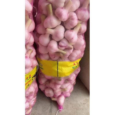 邳州优质净蒜鲜蒜头图3