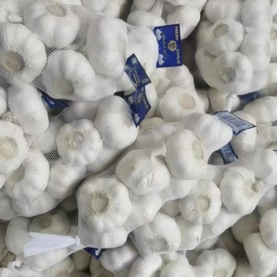 新蒜出口品质大蒜头干蒜4.5cm-6.5cm优质邳州大蒜批发图3