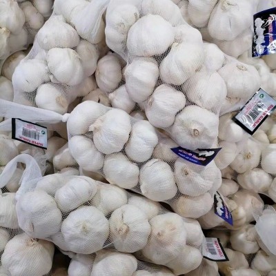 新蒜出口品质大蒜头干蒜4.5cm-6.5cm优质邳州大蒜批发图2