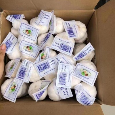 新蒜出口品质大蒜头干蒜4.5cm-6.5cm优质邳州大蒜批发图4