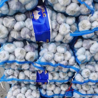 新蒜出口品质大蒜头干蒜4.5cm-6.5cm优质邳州大蒜批发图5