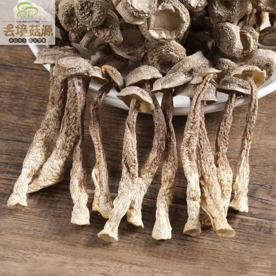 云南野生菌鹿茸菌批发鹿茸菇批发脆脆菇煲汤食材产地直发图2