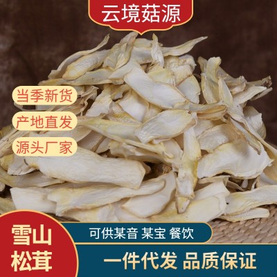 云南特产野生菌蘑菇雪山松茸干片杏鲍菇片松茸片源头厂家产地直发图2