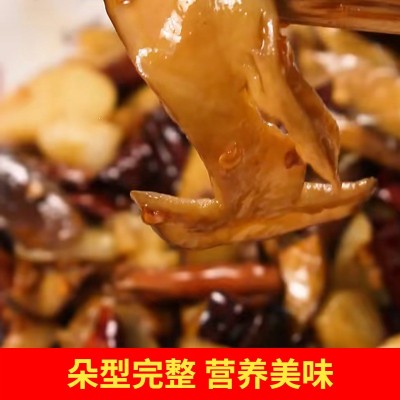 云南特产牛肝菌干货批发白葱红葱水白葱黄牛肝菌产地直发图4