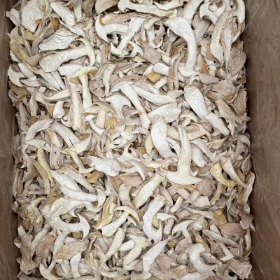 云南蘑菇白松茸批发松茸菇松茸菌松茸干货蘑菇雪山松茸产地直发图4