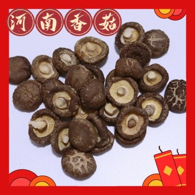 香菇干农家特产肉厚无根小干香菇商用散装批发平脚菌菇河南干香菇图4