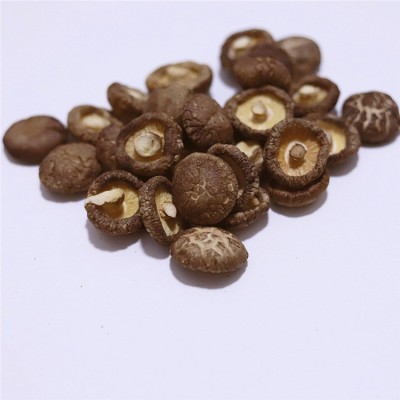 香菇干农家特产肉厚无根小干香菇商用散装批发平脚菌菇河南干香菇图2