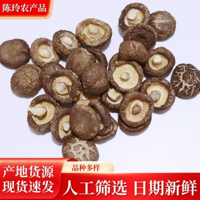 香菇干农家特产肉厚无根小干香菇商用散装批发平脚菌菇河南干香菇图3