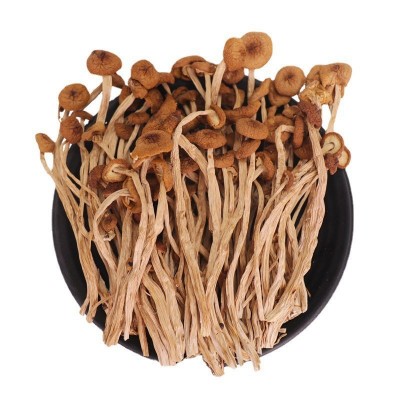 茶树菇散装批发 江西茶树菇不开伞细杆无熏硫 5kg煲汤食材茶树菇图2