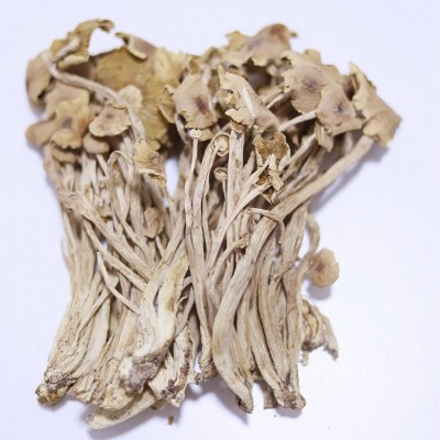 茶树菇散装批发 江西茶树菇不开伞细杆无熏硫 5kg煲汤食材茶树菇图4