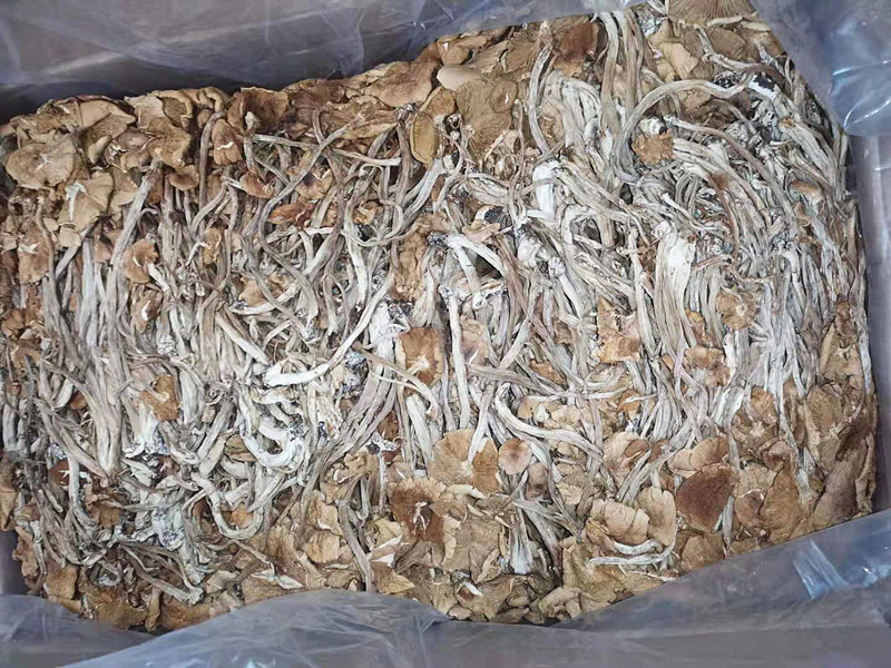 微信图片_20210410191352_副本