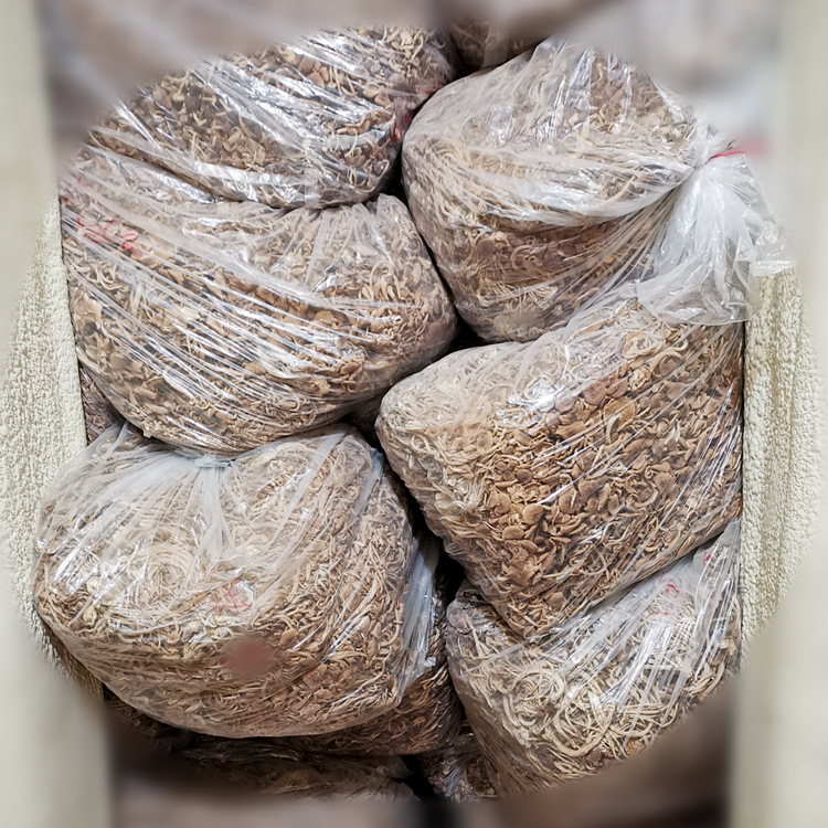 微信图片_20210412092749_副本