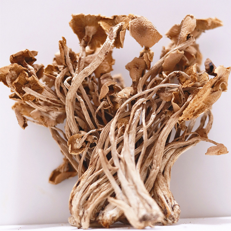 微信图片_20210408143431_副本