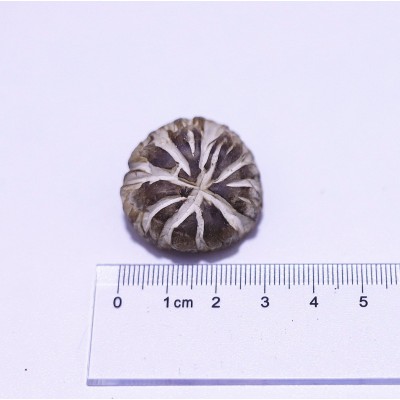 花菇干新货散装1千克 无熏硫冬菇 大花菇 珍珠花菇茶花菇干货冬菇图5