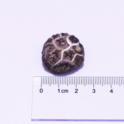 花菇干新货散装1千克 无熏硫冬菇 大花菇 珍珠花菇茶花菇干货冬菇图4