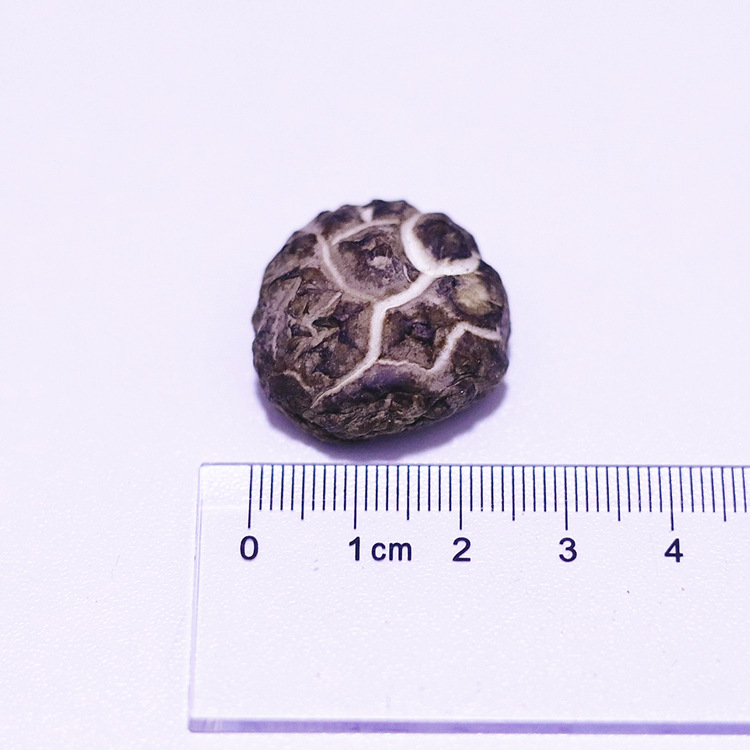 微信图片_2021040814343125_副本