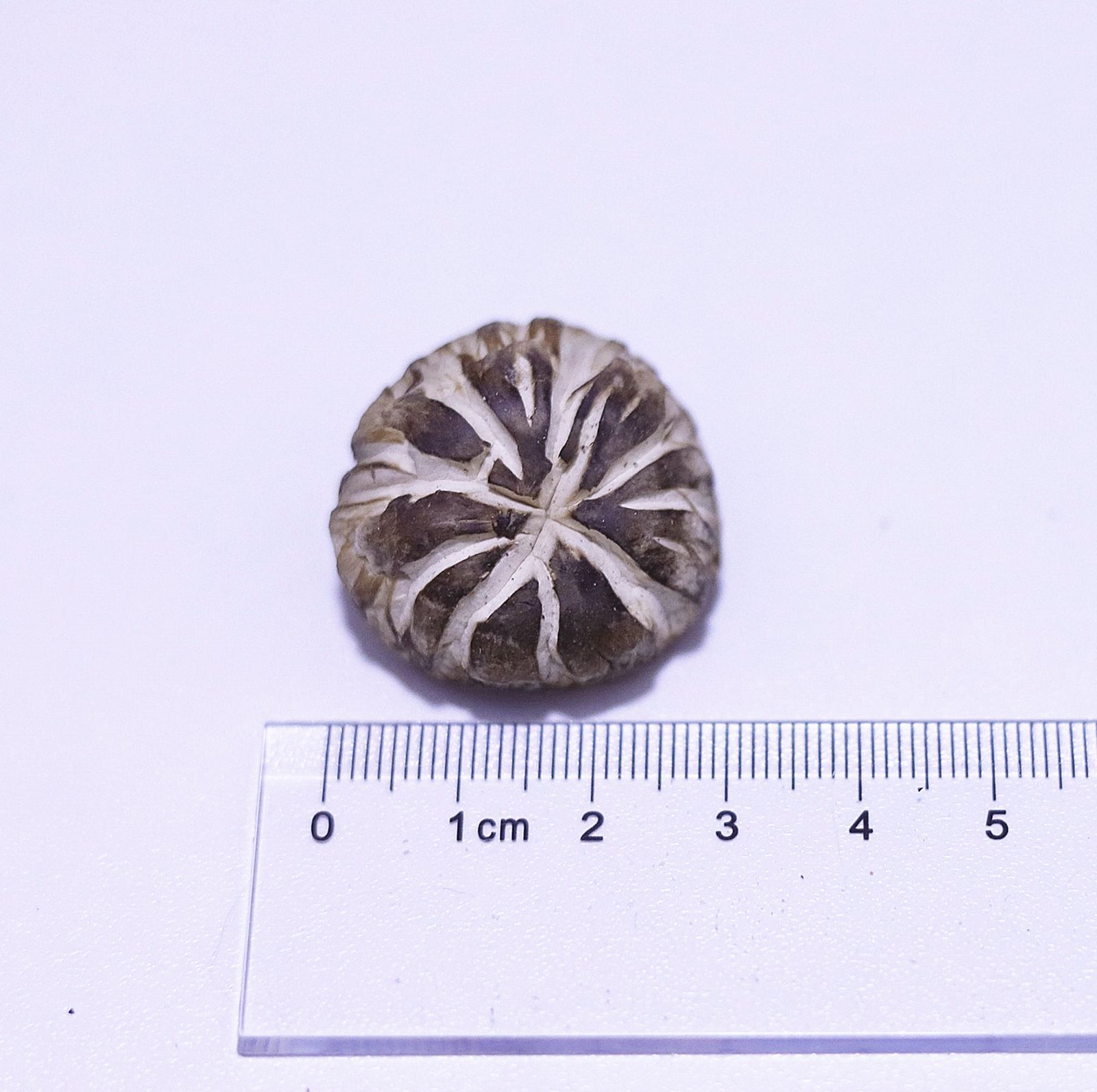 微信图片_2021040814343126_副本