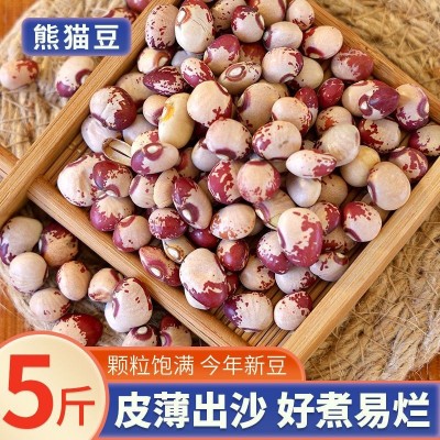 熊猫豆云南猫眼豆花饭豆花芸豆煮粥煲汤打豆浆五谷杂粮豆粗粮储存图5