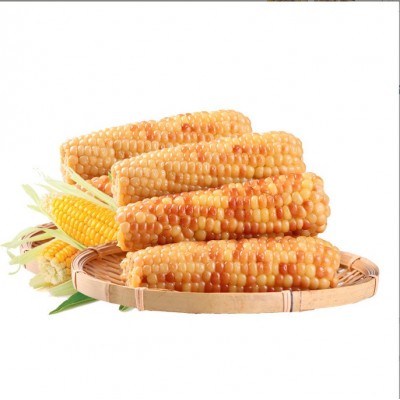 10斤云南西双版纳香糯小玉米新鲜现摘真空装花糯玉米棒香甜黏玉米图5