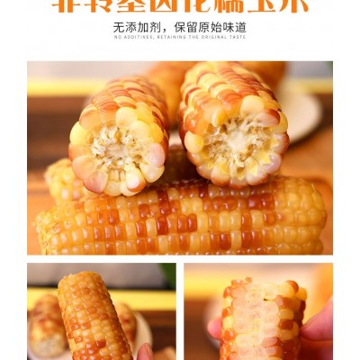 10斤云南西双版纳香糯小玉米新鲜现摘真空装花糯玉米棒香甜黏玉米图4
