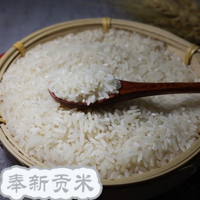 长粒香大米25kg奉新贡米晚籼米批发便宜食堂专供饭店供应粮油批发图2