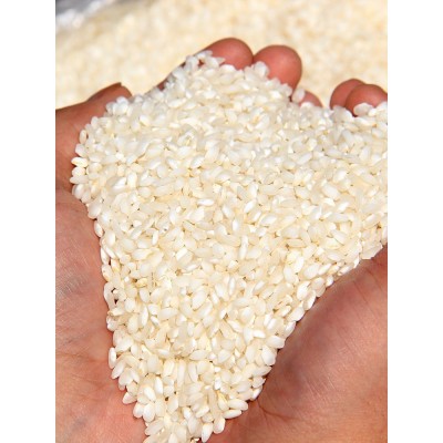 【拿样专享】碎大米茉莉香米大米便宜早籼碎米喂鸡鸭鹅碎大米散装图4