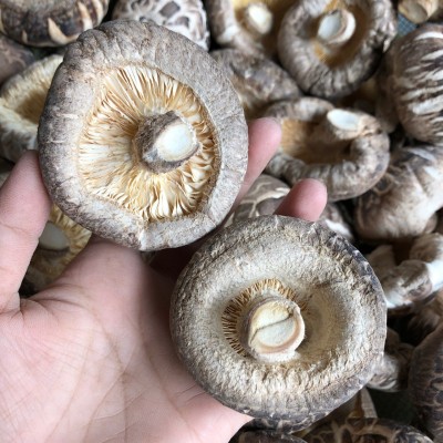 花菇干货肉厚冬菇河南产地食用菌种植基地批发常年供货量大优惠图3