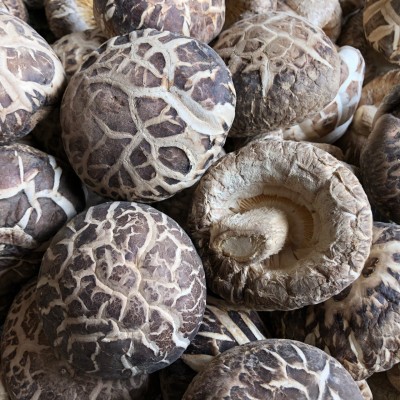 花菇干货肉厚冬菇河南产地食用菌种植基地批发常年供货量大优惠图2