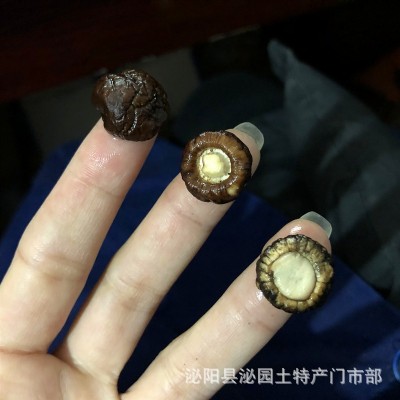 河南西峡香菇干货 椴木小花菇干货产地直批 500克一件代发冬菇图2