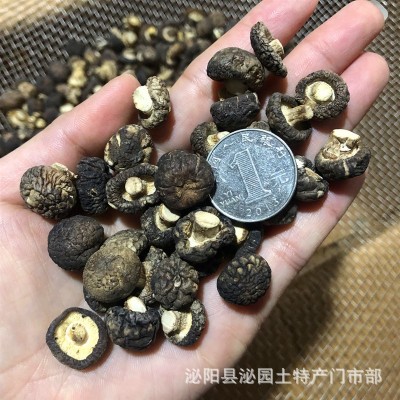 河南西峡香菇干货 椴木小花菇干货产地直批 500克一件代发冬菇图3