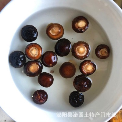 河南西峡香菇干货 椴木小花菇干货产地直批 500克一件代发冬菇图4