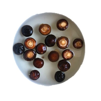 河南西峡香菇干货 椴木小花菇干货产地直批 500克一件代发冬菇图5