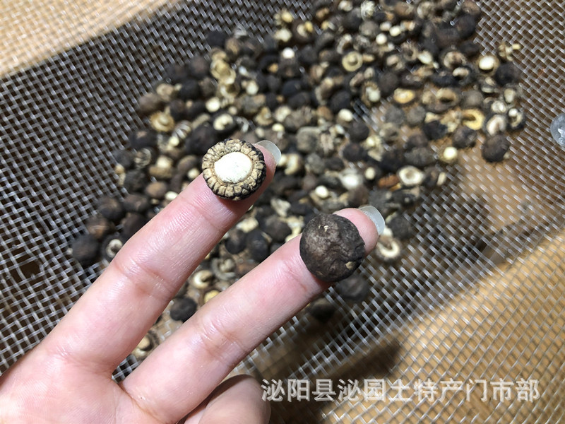 f36c2c5765d8ac9b0d64408e8008f1