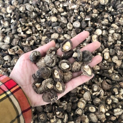小香菇干货冬菇蘑菇西峡产地批发常年供应500g南北干货可一件代发图2