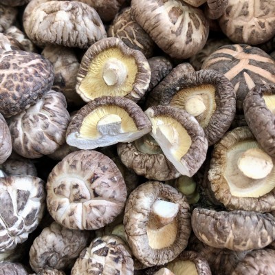 2024西峡新花菇干货冬菇肉厚干香菇产地批发一手货源大量现货散装图4