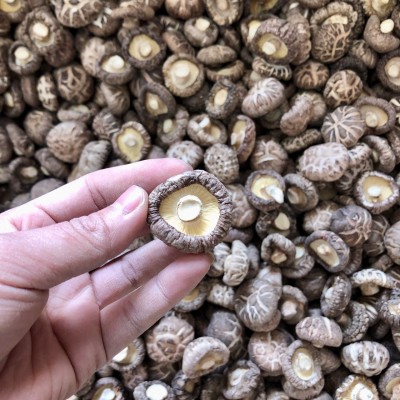 2024西峡新花菇干货冬菇肉厚干香菇产地批发一手货源大量现货散装图3