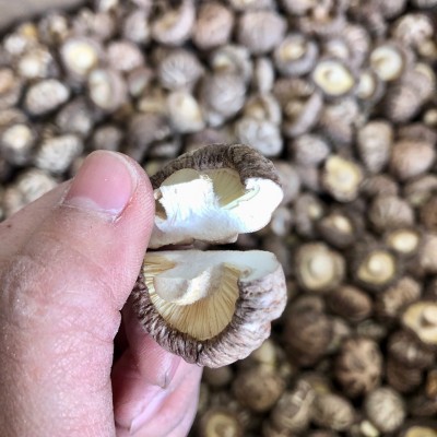 2024西峡新花菇干货冬菇肉厚干香菇产地批发一手货源大量现货散装图2