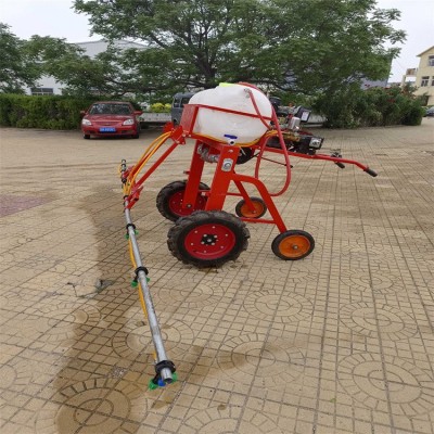 手扶自走式打药机 小麦玉米蔬菜高架喷药机轮式喷雾器图4