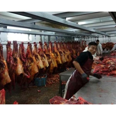源于蒙古国马肉 马前部位肉 草原放养 肉质鲜美 工厂直发图4