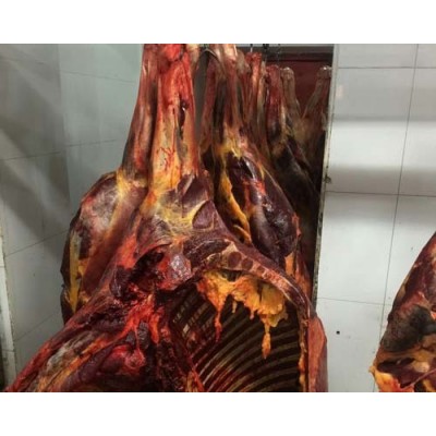 源于蒙古国马肉 马前部位肉 草原放养 肉质鲜美 工厂直发图5