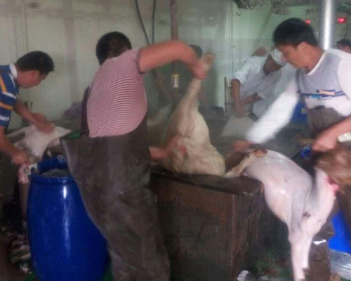 13b40bc9c03bce0b80a345871b153c