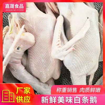 厂家供应 冷冻白条鹅 农家散养鹅嫩鹅现杀冷冻整只鹅肉 可批发图2