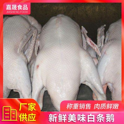 厂家供应 冷冻白条鹅 农家散养鹅嫩鹅现杀冷冻整只鹅肉 可批发图3