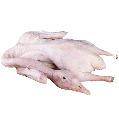 厂家供应 冷冻白条鹅 农家散养鹅嫩鹅现杀冷冻整只鹅肉 可批发图5
