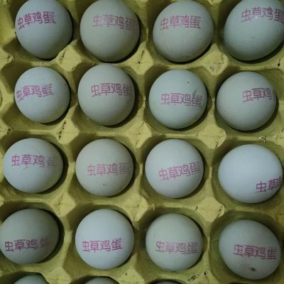 30枚整箱批发鸡蛋 散养农家绿壳五谷虫草土鸡蛋正宗新鲜乌鸡蛋图2
