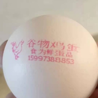 五谷散养虫草土鸡蛋批发免费喷码农家林间散养新鲜土鸡蛋草鸡蛋图3