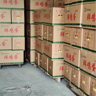 五谷散养虫草土鸡蛋批发免费喷码农家林间散养新鲜土鸡蛋草鸡蛋图5