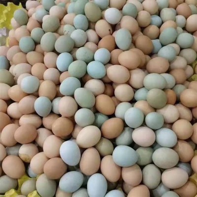 30枚大别山农家散养五谷绿壳虫草混合装土鸡蛋现捡现发免费喷码图3