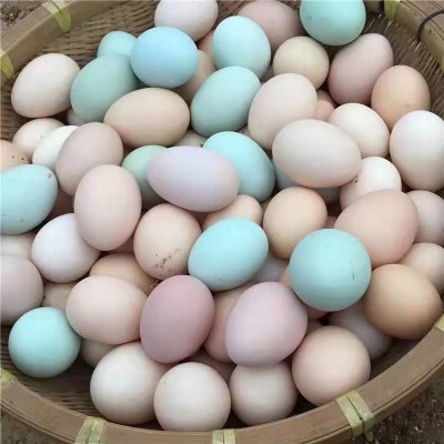 30枚大别山农家散养五谷绿壳虫草混合装土鸡蛋现捡现发免费喷码图2