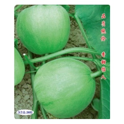 绿宝石   价格电议